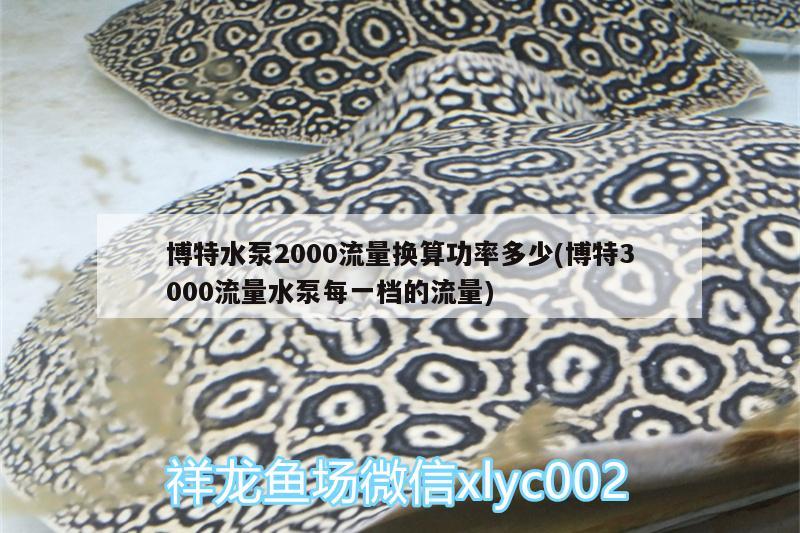 博特水泵2000流量換算功率多少(博特3000流量水泵每一檔的流量)