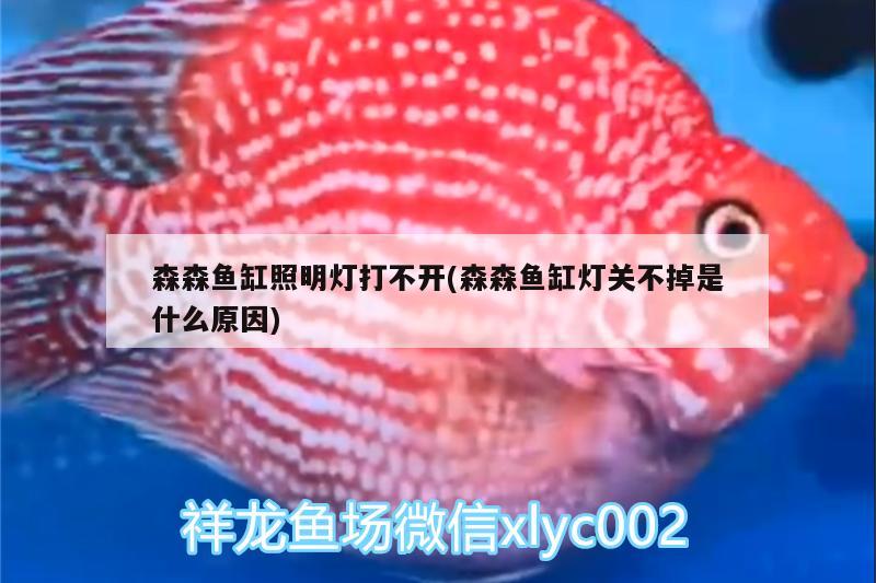 森森魚缸照明燈打不開(森森魚缸燈關不掉是什么原因)