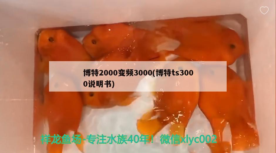 博特2000變頻3000(博特ts3000說明書) 博特水族