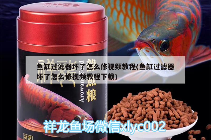 魚(yú)缸過(guò)濾器壞了怎么修視頻教程(魚(yú)缸過(guò)濾器壞了怎么修視頻教程下載) 斑馬鴨嘴魚(yú)