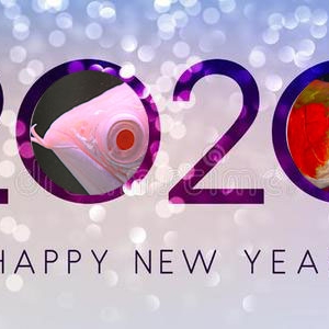 祥龍魚場感恩2019有您一路同行，讓我們一起加油！2020！