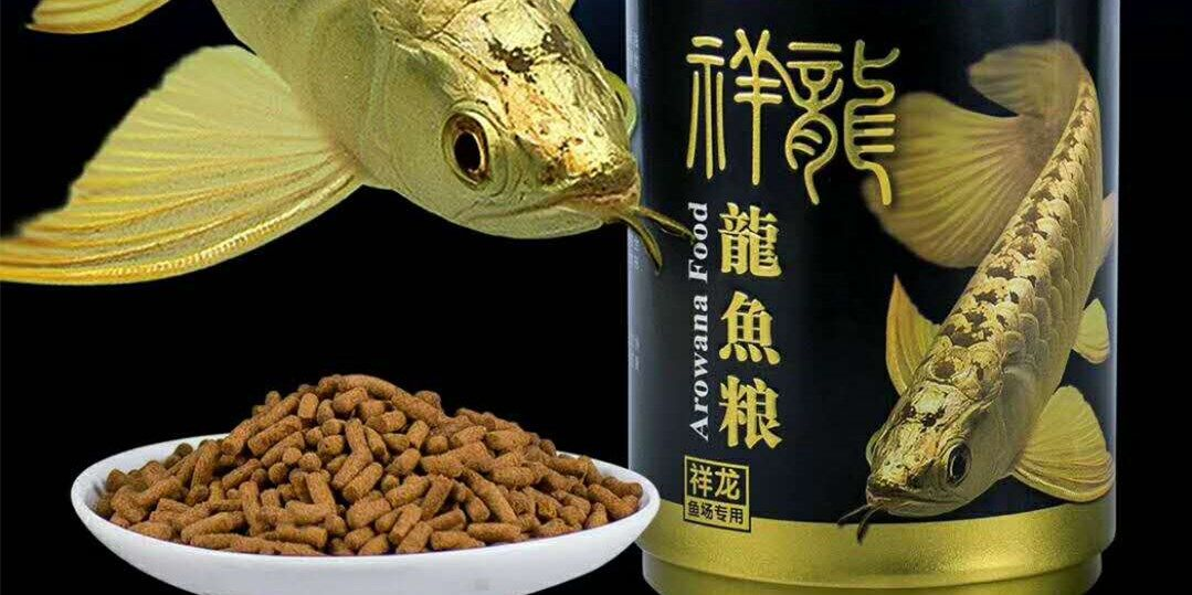 祥龍魚場金龍魚專用魚糧：祥龍金龍魚專用魚糧